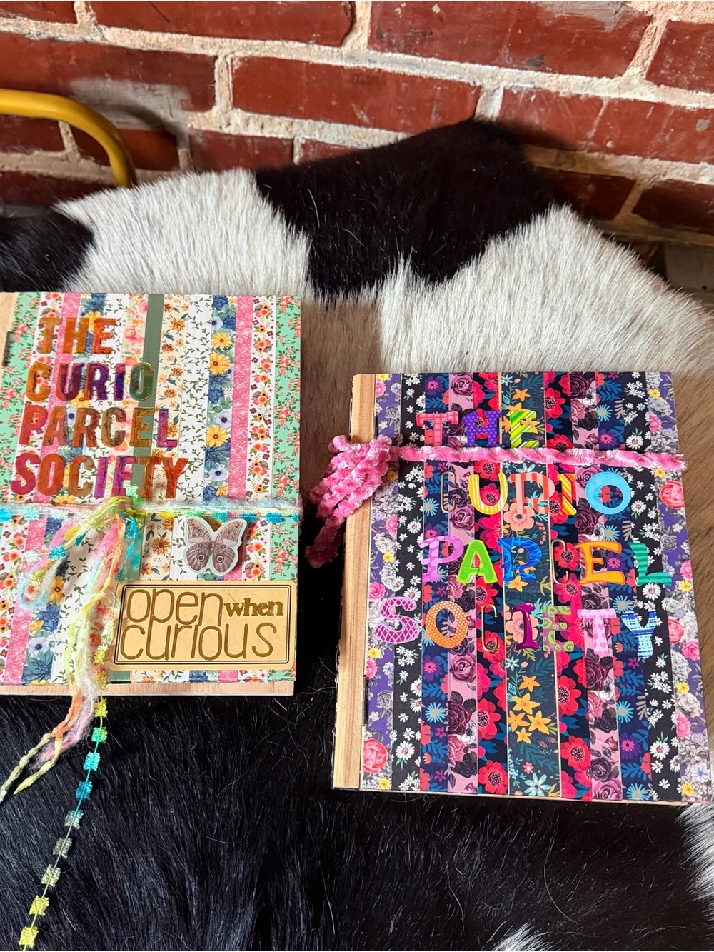 The Curio Parcel Society: Library Edition